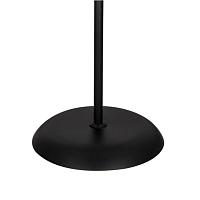 Дополнительная картинка Торшер Arte Lamp Duetto A9569PN-2BK