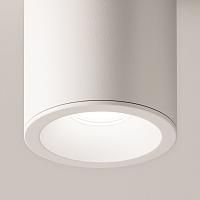 Дополнительная картинка Потолочный светильник Maytoni Antares C029CL-01W