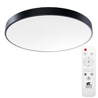 Дополнительная картинка Потолочный светодиодный светильник Arte Lamp Arena A2673PL-1BK