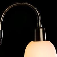 Дополнительная картинка Торшер Arte Lamp Duetto A9569PN-2AB