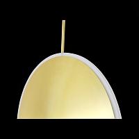 Дополнительная картинка Подвесной светодиодный светильник ST Luce Imente SL1221.213.01