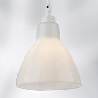 Дополнительная картинка Подвесной светильник Lightstar Loft 865016
