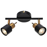 Дополнительная картинка Спот Arte Lamp Almach A1906PL-2BK