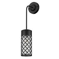 Уличный настенный светильник Odeon Light Nature Dunes 4834/1W светильники