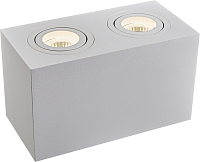 Дополнительная картинка Потолочный светильник Technical C017CL-02W