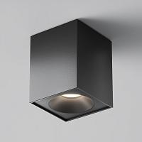 Дополнительная картинка Потолочный светильник Maytoni Sirius C030CL-01B