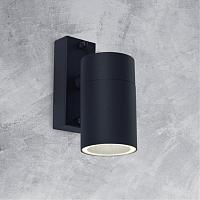 Дополнительная картинка Уличный настенный светильник Arte Lamp Sonaglio A3302AL-1BK