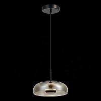 Дополнительная картинка Подвесной светодиодный светильник ST Luce Lazio SL6002.403.01