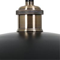 Дополнительная картинка Подвесной светильник Arte Lamp CAPPELLO A7056SP-1BK
