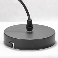 Дополнительная картинка Подвесной светильник Lussole Lgo Bossier LSP-8273