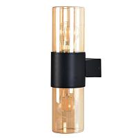Настенный уличный светильник Arte Lamp SEGINUS A6515AL-2BK светильники