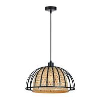подвесной светильник arte lamp woodstock a7071sp-1bk, доставка по Казахстану 