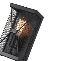 Дополнительная картинка Настенный светильник Favourite Mesh 1784-1W