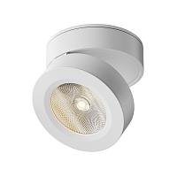 Дополнительная картинка Спот Maytoni Alivar C022CL-L7W