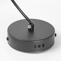 Дополнительная картинка Подвесной светильник Lussole LSP-7080