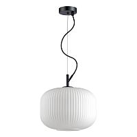Дополнительная картинка Подвесной светильник Odeon Light Pendant Roofi 4754/1