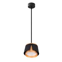 Дополнительная картинка Подвесной светильник Arte Lamp AMAKS A8028SP-1BK