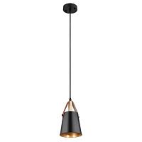 Дополнительная картинка Светильник подвесной Arte Lamp THOMAS A7032SP-1BK