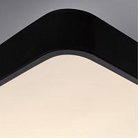 Дополнительная картинка Потолочный светильник Arte Lamp A2663PL-1BK