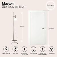 Дополнительная картинка Торшер Maytoni Erich MOD221-FL-01-N