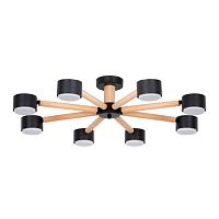 Дополнительная картинка Потолочная люстра Arte Lamp TENDA A1624PL-8BK