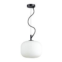 Дополнительная картинка Подвесной светильник Odeon Light Pendant Roofi 4753/1