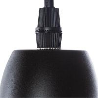 Дополнительная картинка Подвесной светильник Arte Lamp Braccio A2054SP-1BK