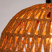 Дополнительная картинка Подвесной светильник Arte Lamp BRUSHWOOD A7086SP-1BK