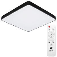 Дополнительная картинка Потолочный светодиодный светильник Arte Lamp Scena A2669PL-1BK