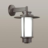 Уличный настенный светильник Odeon Light Nature Mito 4047/1W светильники