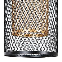 Дополнительная картинка Подвесной светильник Arte Lamp CASTELLO A7068SP-1BK