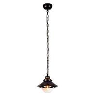 Дополнительная картинка Подвесной светильник Arte Lamp Grazioso A4577SP-1CK
