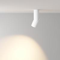 Дополнительная картинка Светодиодный спот Maytoni Dafne C027CL-L10W