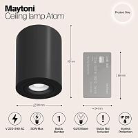 Дополнительная картинка Потолочный светильник Maytoni Alfa C016CL-01B