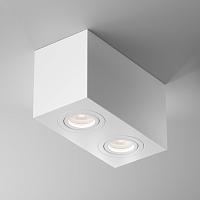 Дополнительная картинка Потолочный светильник Technical C017CL-02W