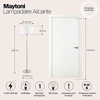 Дополнительная картинка Торшер Maytoni Alicante MOD014FL-01N