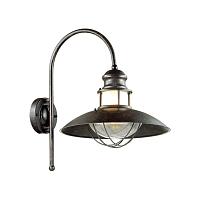 Дополнительная картинка Уличный настенный светильник Odeon Light Nature Dante 4164/1WA