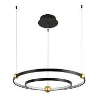 Дополнительная картинка Подвесной светодиодный светильник Divinare Amadeo 1123/04 SP-65