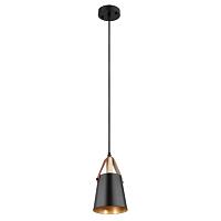 Дополнительная картинка Светильник подвесной Arte Lamp THOMAS A7032SP-1BK