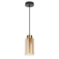 Дополнительная картинка Подвесной светильник Arte Lamp LEO A7027SP-1BK