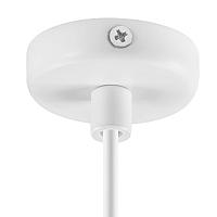 Дополнительная картинка Подвесной светильник Lightstar Loft 865016