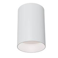 Потолочный светильник Maytoni Alfa C014CL-01W купить в Алматы svet.kz