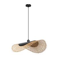 подвесной светильник arte lamp woodstock a7063sp-1bk, доставка по Казахстану 