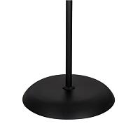 Дополнительная картинка Торшер Arte Lamp Duetto A9569PN-2BK