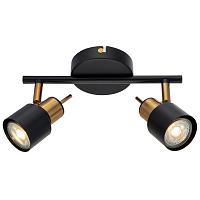 Дополнительная картинка Спот Arte Lamp Almach A1906PL-2BK