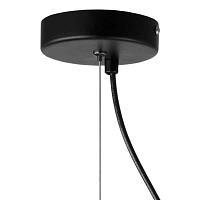 Дополнительная картинка Подвесной светильник Lightstar Dissimo 803117