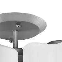 Дополнительная картинка Потолочная люстра Lightstar Nubi 802030