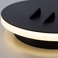Дополнительная картинка Бра Arte Lamp Electra A8231AP-1BK