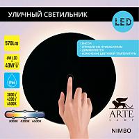 Дополнительная картинка Настенный уличный светильник Arte Lamp NIMBO A4506AL-1BK