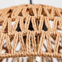 Дополнительная картинка Подвесной светильник Arte Lamp BRUSHWOOD A7086SP-1BK